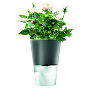 Eva Solo - Herb pot 11 cm Dark grey | Hype Design London