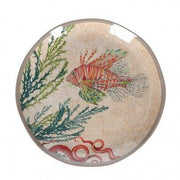 Sea Life - Set 2 Salad Plates 100% Melamine 21 cm in Gift Box | Hype Design London