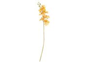 Orchid Styles 102 cm Amber